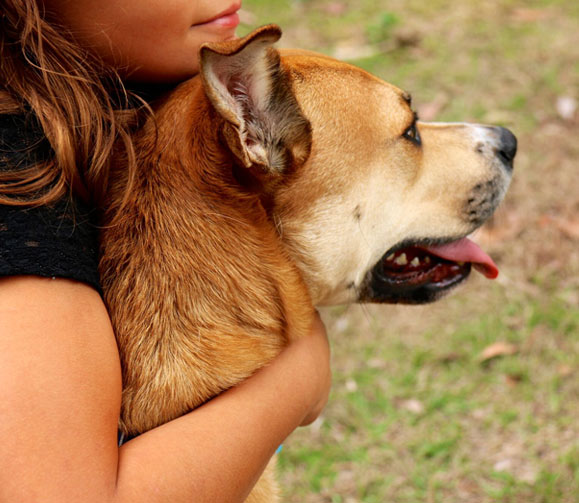 Animal Assisted Therapy at Youth Haven Southwest Florida Youth Shelter